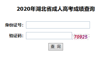 2020年湖北成人大专分数查询入口