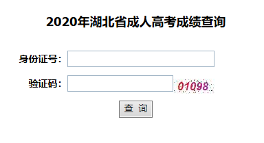 2020年湖北成考分数查询入口：湖北教育考试院