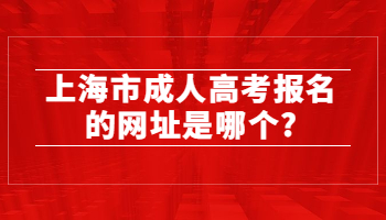 上海成考报名的网址是什么?