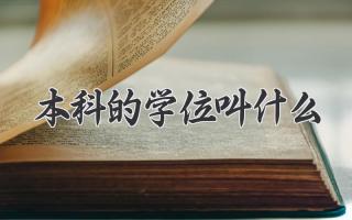 本科的学位叫什么