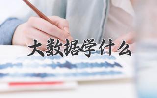 大数据学什么