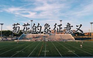 菊花的象征意义