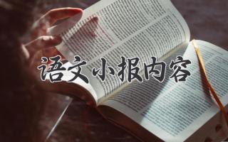 语文小报内容