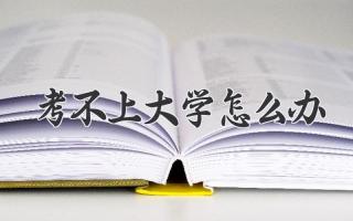 考不上大学怎么办