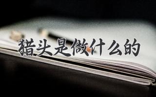 猎头是做什么的