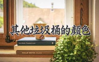 其他垃圾桶的颜色