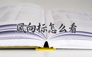 风向标怎么看