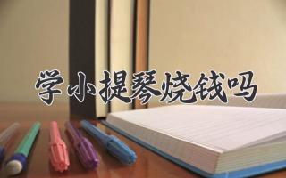 学小提琴烧钱吗