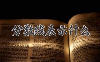 分数线表示什么