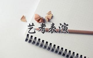 艺考表演