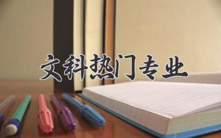 文科热门专业