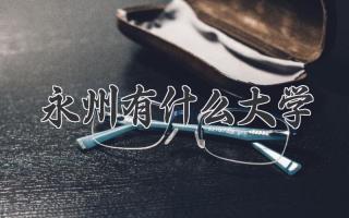 永州有什么大学
