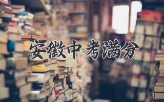 安徽中考满分