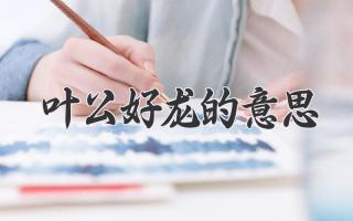 叶公好龙的意思