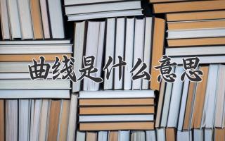 曲线是什么意思