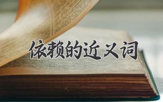 依赖的近义词