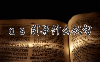 as引导什么从句