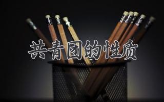 共青团的性质