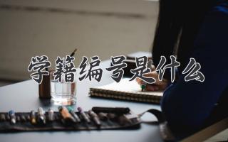 学籍编号是什么