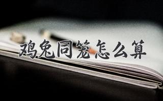 鸡兔同笼怎么算