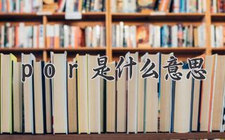por是什么意思