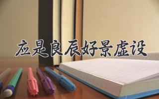 应是良辰好景虚设
