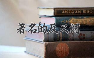 著名的反义词