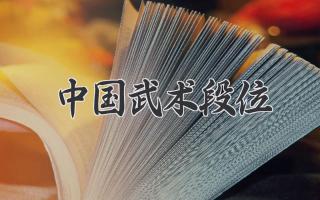 中国武术段位