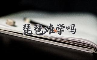 琵琶难学吗