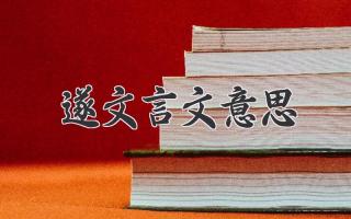 遂文言文意思