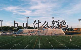 bu什么颜色