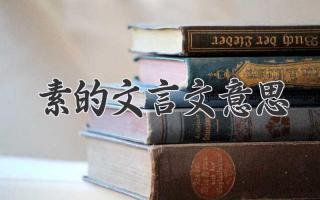 素的文言文意思
