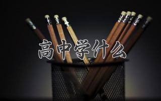 高中学什么