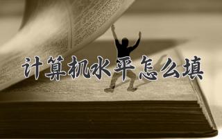 计算机水平怎么填