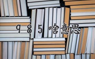 985啥意思