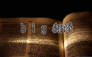 big翻译