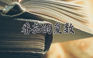 番茄的复数