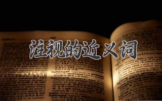注视的近义词
