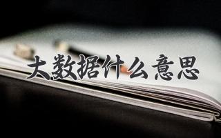 大数据什么意思