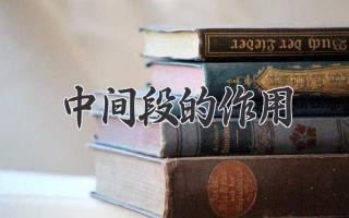 中间段的作用