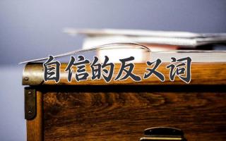自信的反义词