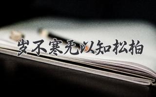 岁不寒无以知松柏