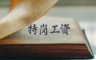 特岗工资