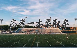 高考一本录取率