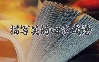 描写笑的四字成语