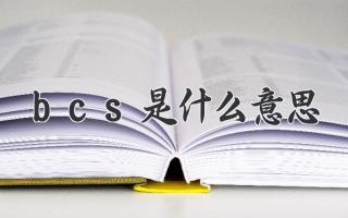 bcs是什么意思