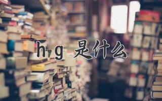 hg是什么