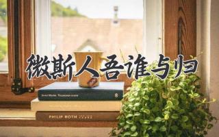 微斯人吾谁与归