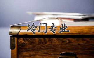 冷门专业