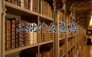 二批什么意思